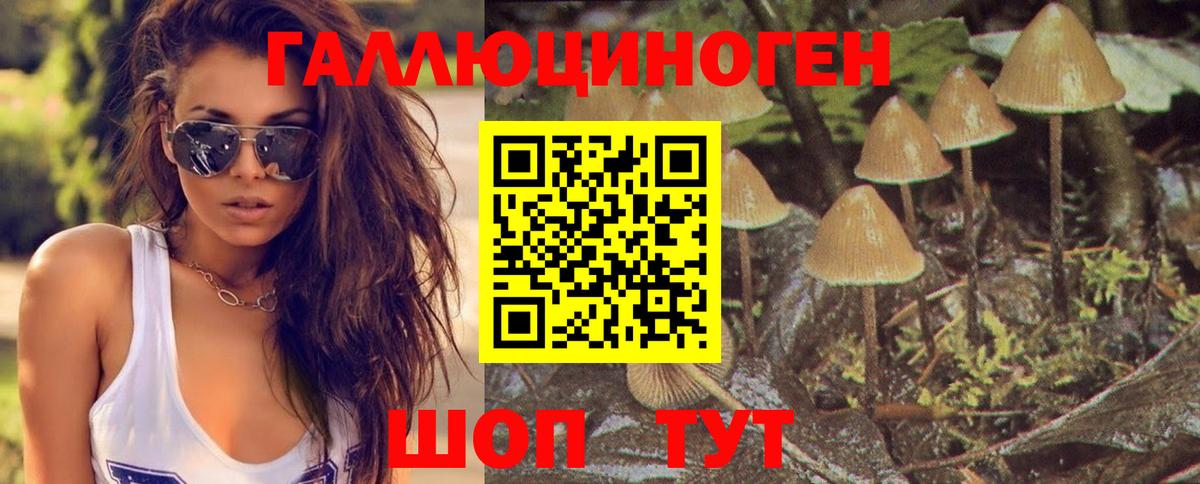 Галлюциногенные грибы Magic Shrooms  Вход с VPN  Магадан 
